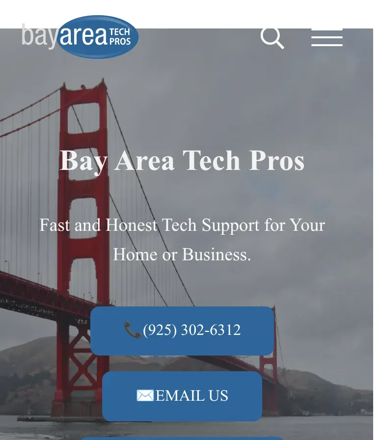BAY AREA TECH PROS 3