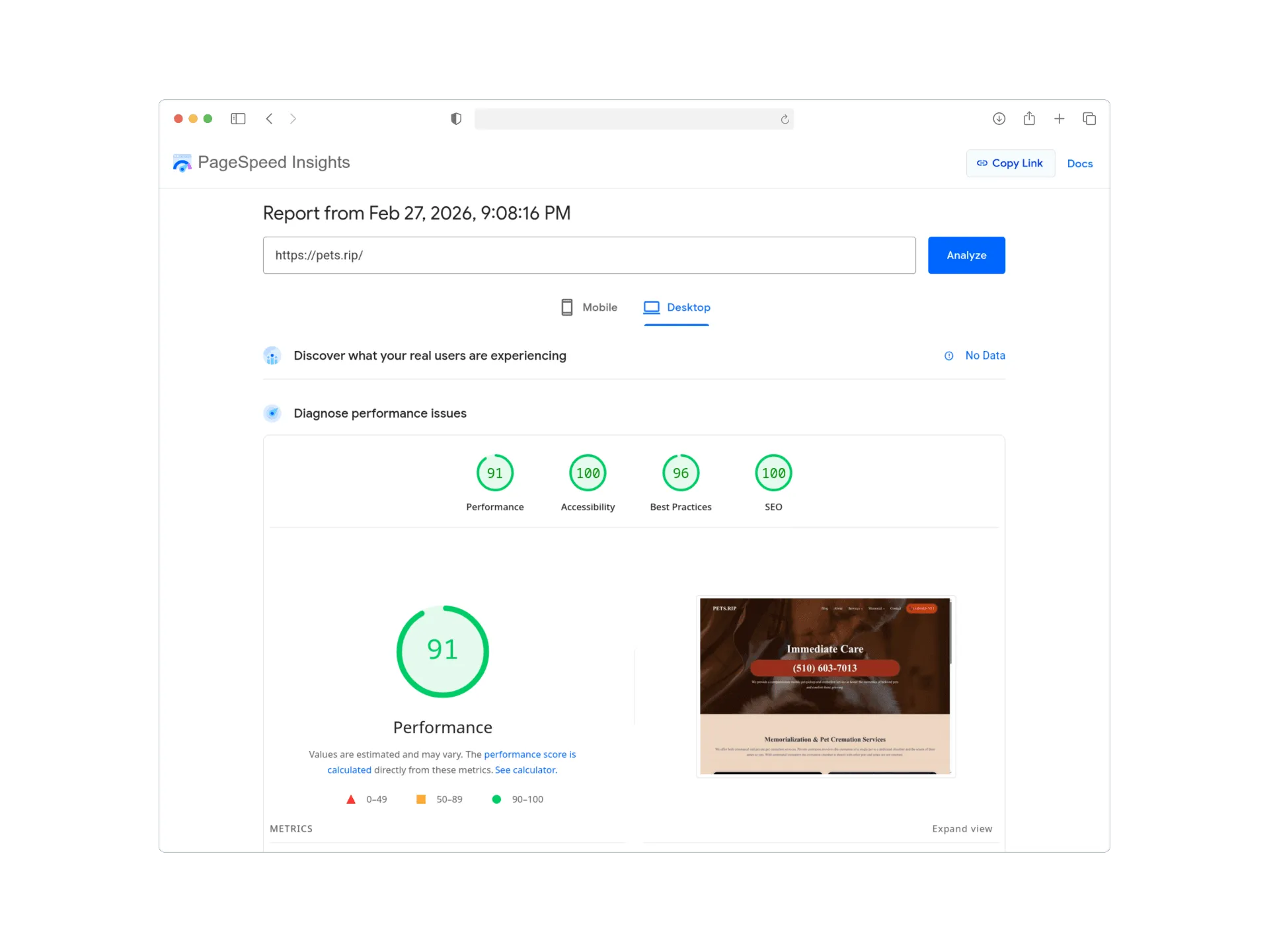 PageSpeed Insights score 3